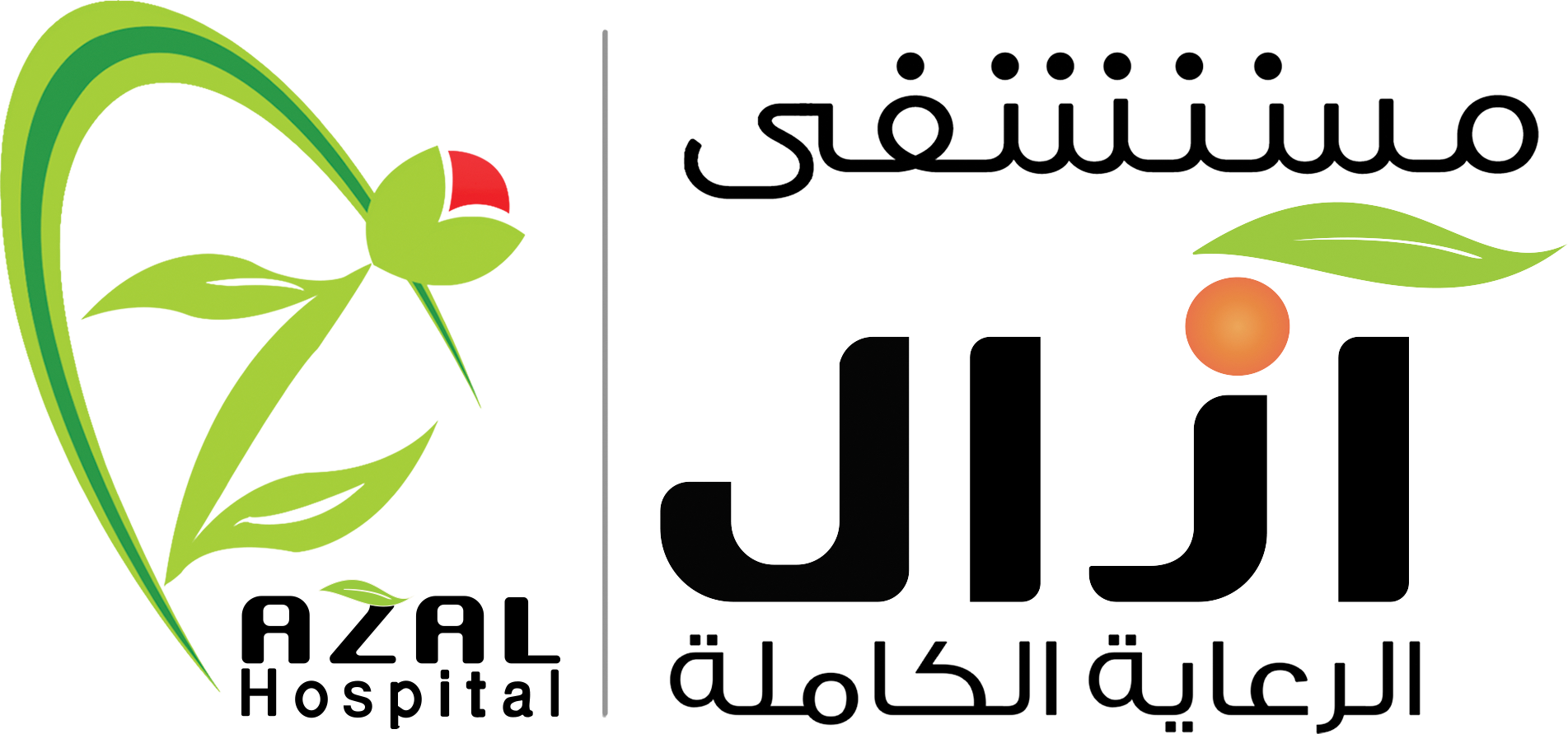 مستشفى آزال النموذجي