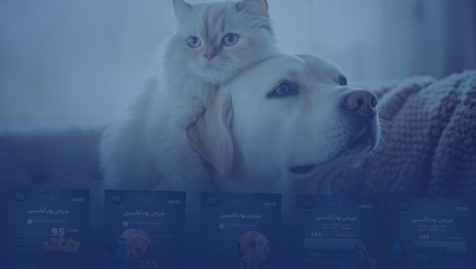 تصاميم سوشال ميديا | كفوف ميرا البيطرية